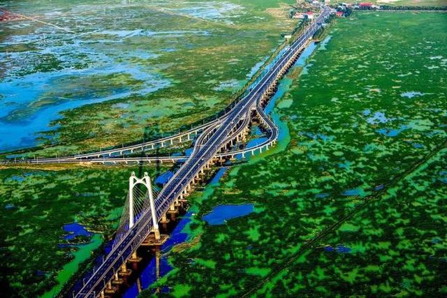 80 年代的东北江南园林	，20年后变废墟，现靠几片叶子“死而复生”