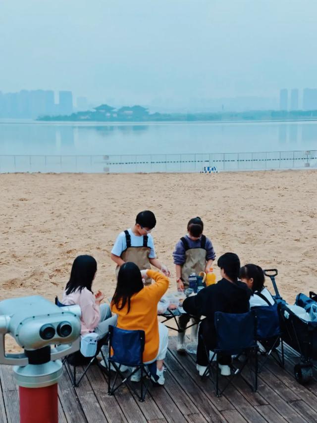 速报!长沙这个地方银杏浓度达100%,赏芦苇、砍甘蔗,遛娃惊喜超多