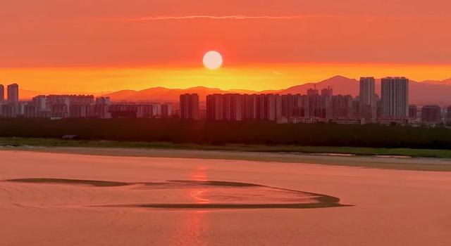 央视四平台连播！ 红滩盛夏铺锦绣 生态南海引客来