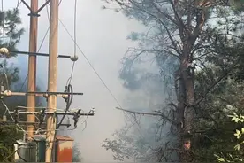 回望2024 基于淮河源山水林保护项目巡护工作的总结与思考图片