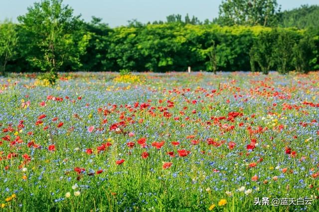 不管你信与不信，女性过了55岁后，基本都有以下方面的需求