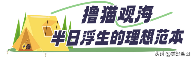星期五，盐田上新啦 | 登山、观海、品咖、撸猫，真的太松弛了吧……