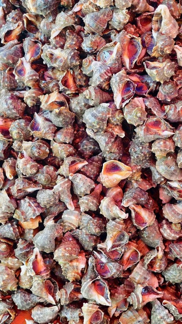 6城上榜！2025康养百强榜出炉，山东凭什么这么能打？