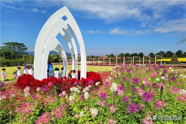 岭南冬如春，童趣蝶翩跹，学子来到佛山卡玛花世界开启蝴蝶研学