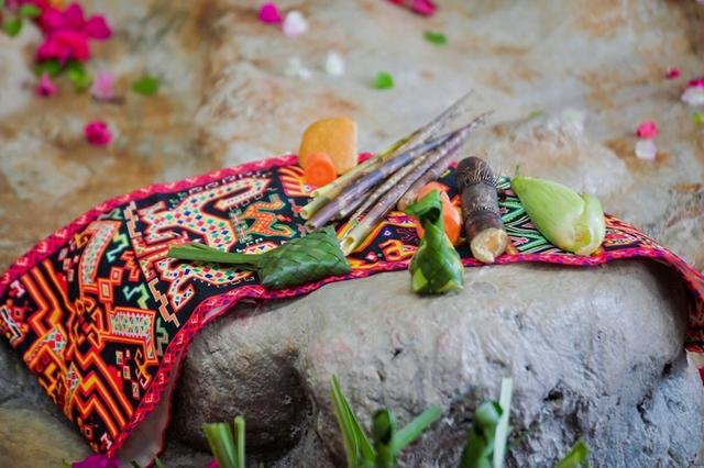 贡贡、舜舜登岛七周年，海南热带野生动植物园举办纪念活动