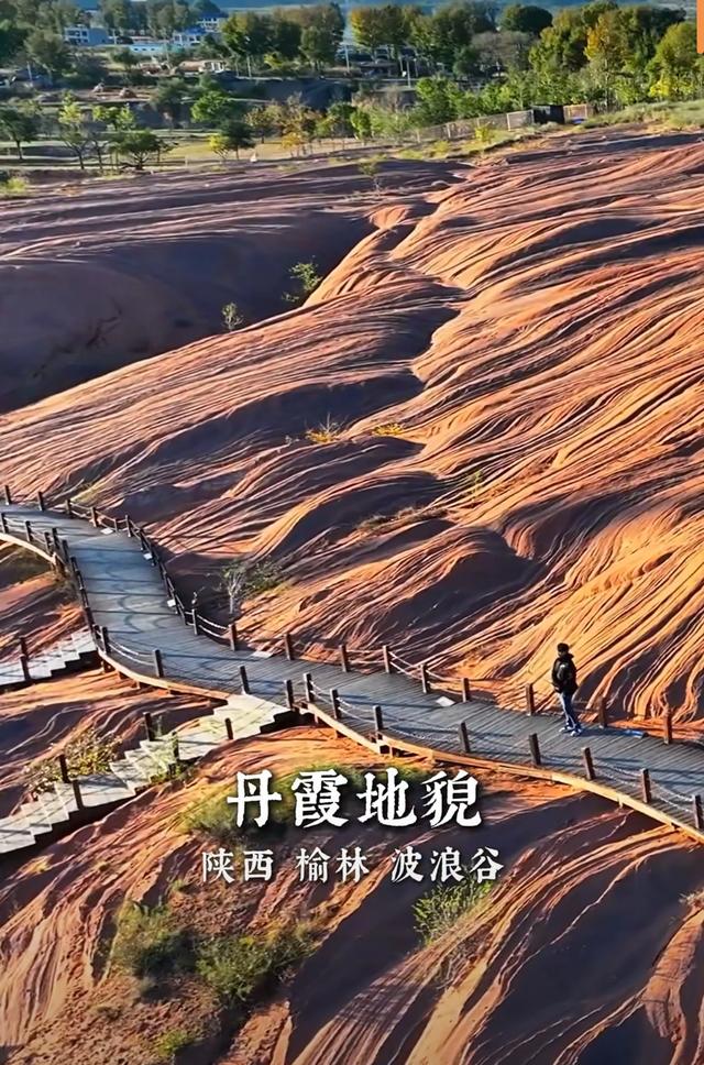 浪漫仙境！荞麦花海+多彩盐湖+金色向日葵
