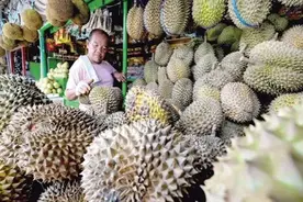 菲律宾飘了？5.4万吨榴莲销往中国却无人问津，网友：谁给的勇气图片