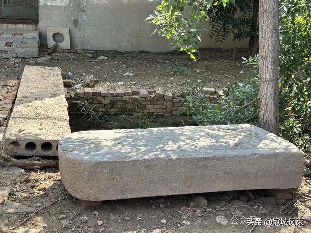 冠县乡韵·定远寨镇前杏园村