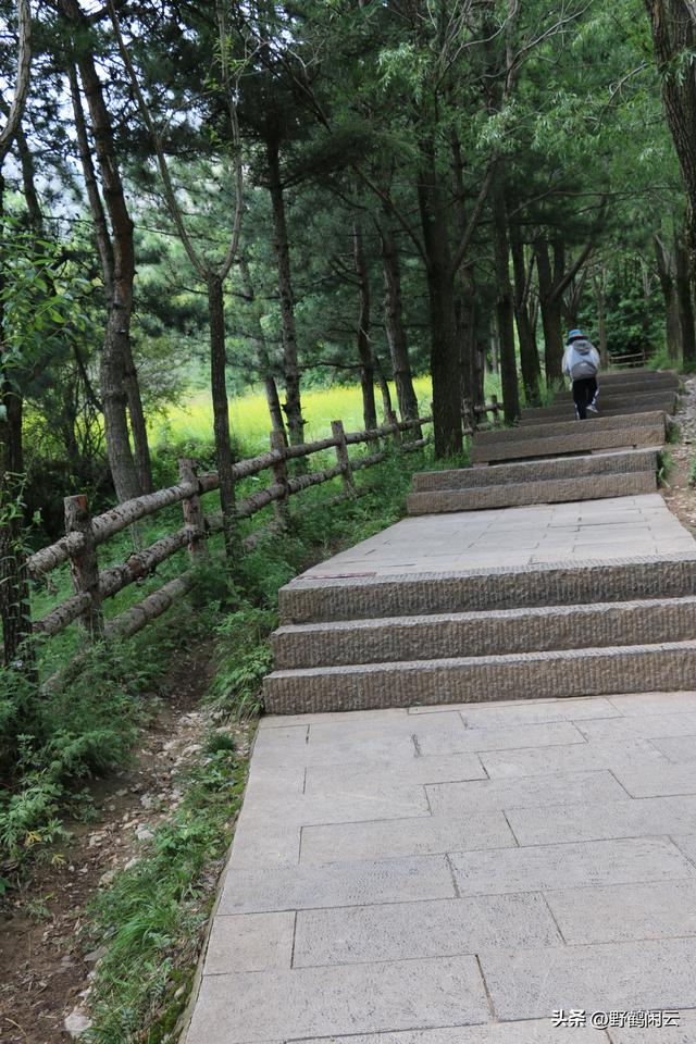 探幽秘境甘南，开启心灵净化之旅之四
