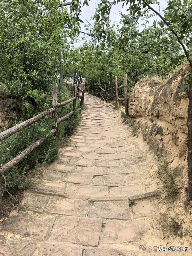 【山西游】碛口古镇，黄河岸边的烟火人间，黄土高原上的布达拉宫