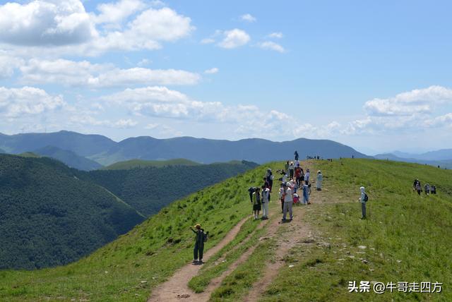 河北麻田岭（上）：绿野铺毡接云影、风轮伴路探山魂