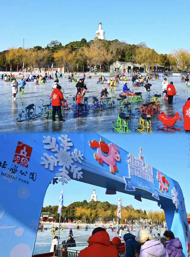北京又一天然冰场迎客！蜡梅进最佳观赏期！