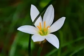 表面上善良，内心阴暗的人，有这三个特质，千万别深交图片