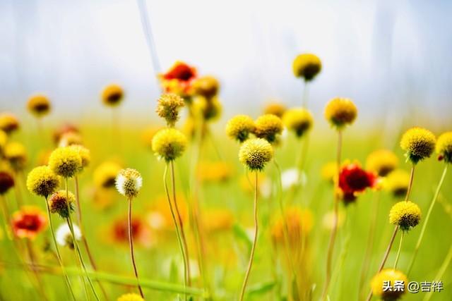 养老热议：如何守护晚年幸福？新型养老方式来了	，挑战传统观念！