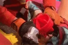 “游个泳我有什么错？” 女子泳池被困，小心“暗器伤人”图片