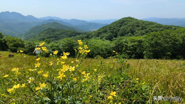 两次本溪南岭徒步记｜高山草甸，湖池松林，我被南岭种草