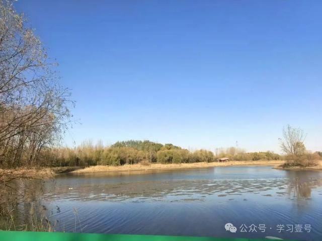 沈阳到辽滨塔踏查记