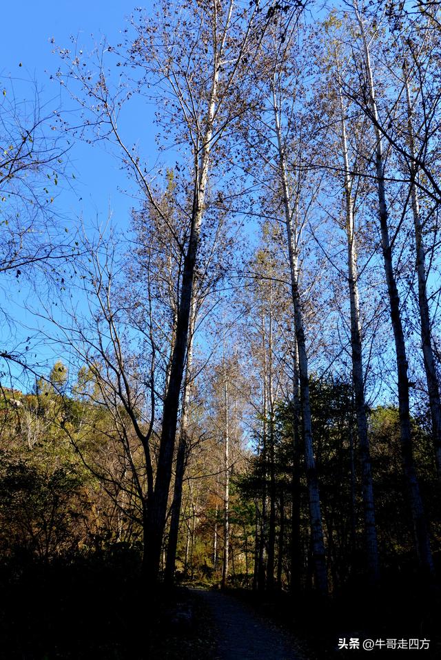 辽阳核伙沟（上）：百里锦绣廊、东北小黄山