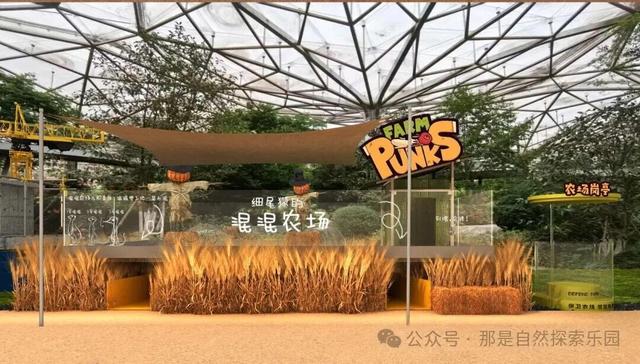 没有小角色 只有小爪爪｜首个动植物文旅社区国庆节南京开“宠”