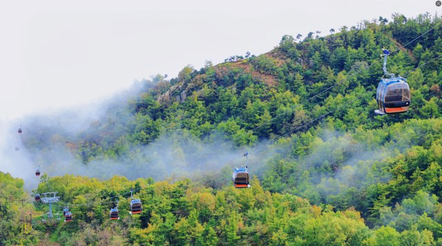 逃离酷暑，邂逅19℃的夏天——沂山，你的天然清凉秘境
