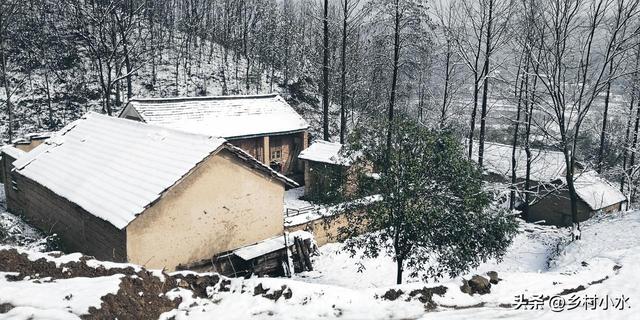今日冬至，老人说“冷不冷，就看冬至”，今年冬天是暖冬吗？