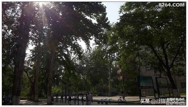 山东行游影记（15）—济南山东大学（二）