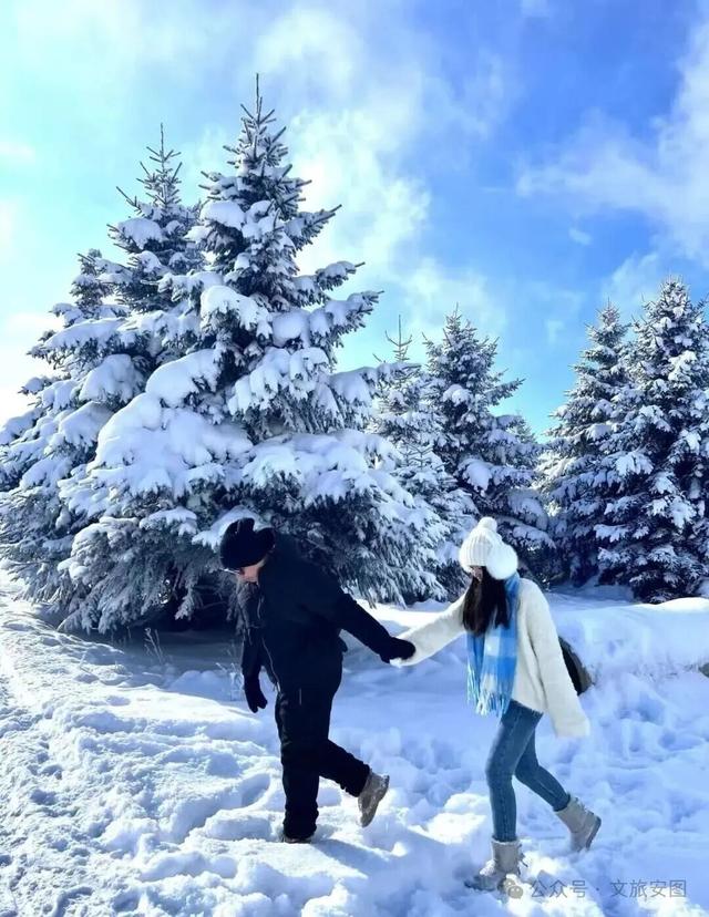 等一场雪，念一座城！安图雪岭的冬日邀约