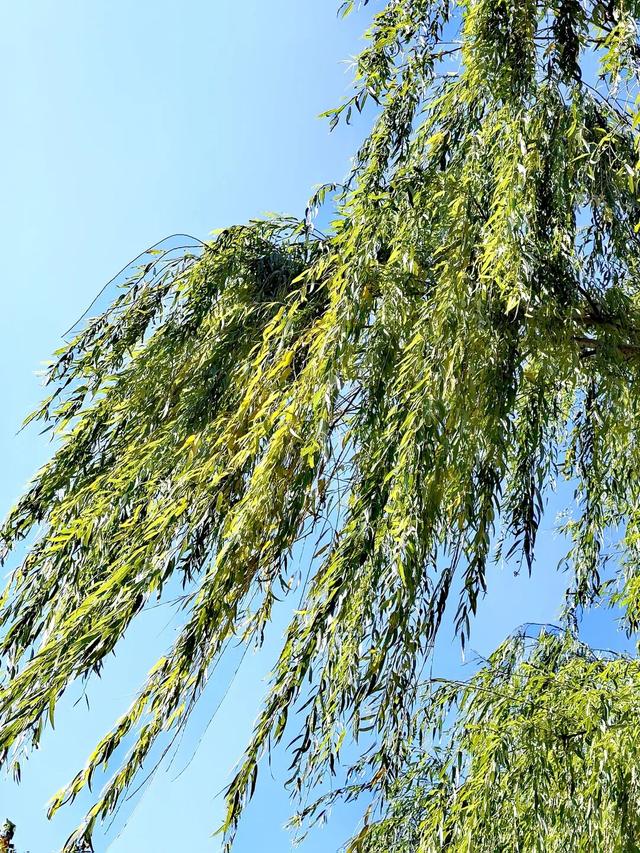 人情往来，有来有往，情意绵长