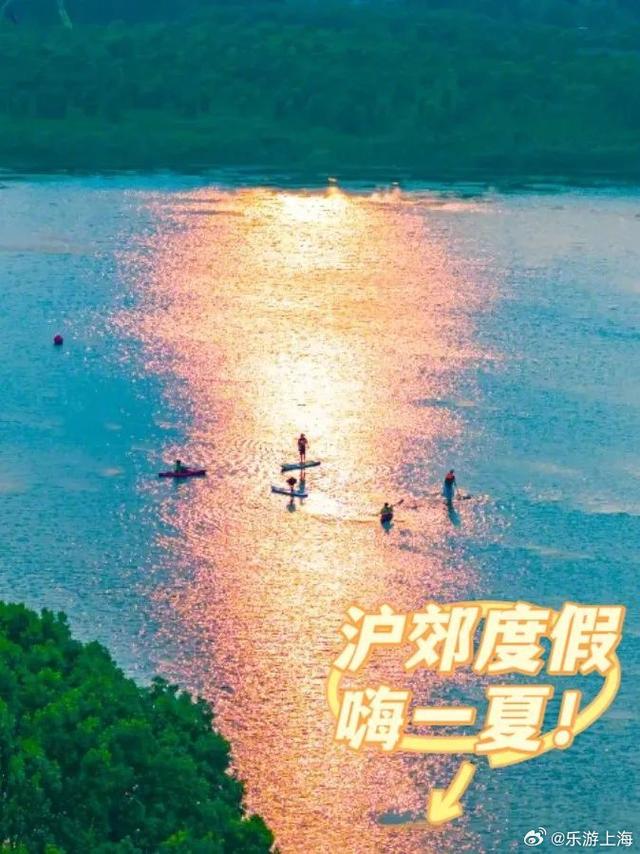 上海夏日漫游！探索沪郊秘境