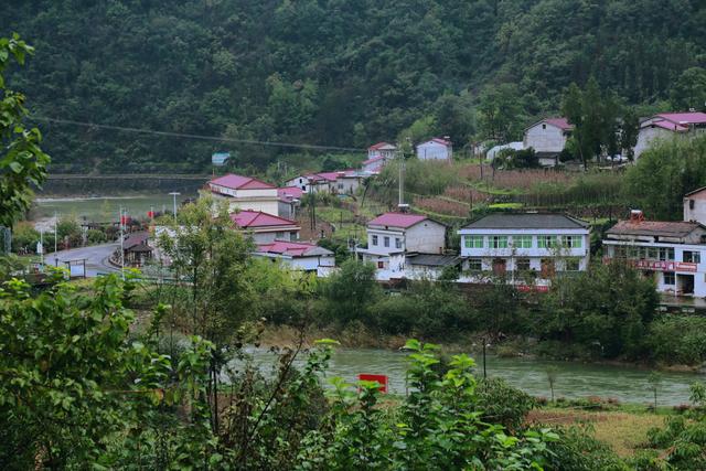 佛坪西岔河镇漫游记:在鹿鸣、稻香与古银杏间邂逅秦岭深处的诗意