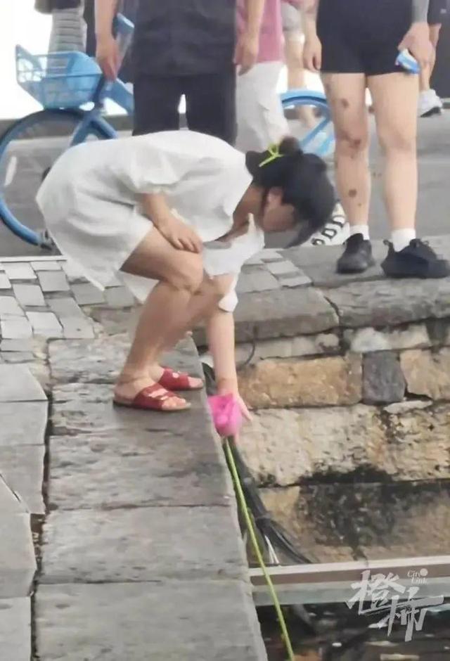 “太没素质了！”女子跳下断桥偷摘荷花，景区：已批评教育，处以罚金