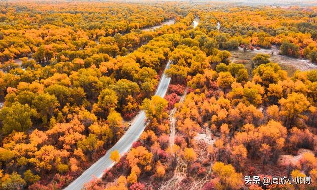 2025年赏秋去哪里？国内10条精华赏秋路线自驾地图攻略集合分享