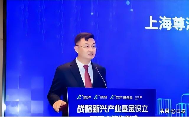 国产芯被窃取！内鬼多达14人，身份全被扒，发现董明珠说的真没错