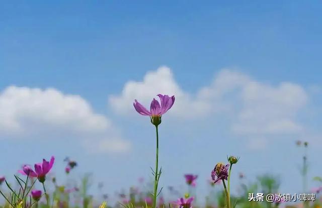 两性关系：55岁女人的大实话，男人过了五十岁，只剩最后一个好处