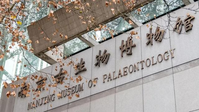 玄武定向赛，寻迹好风光