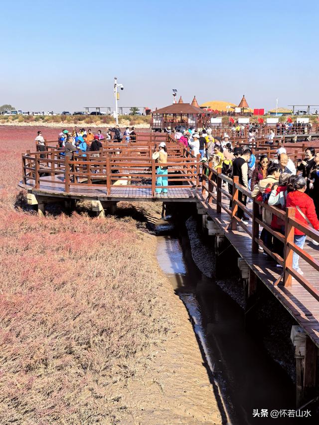 2025辽宁赏秋之旅日记(5)——从本溪前往盘锦 游览红海滩景观