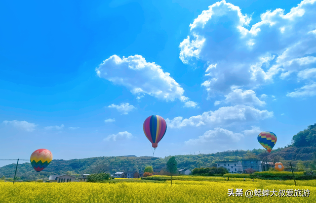 藏在浙江东部的“乡野秘境”，2026宣布免费，可来花海古村之行！