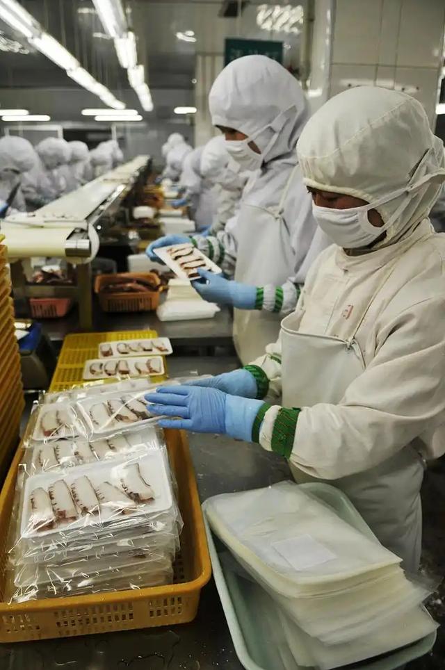 日本水产天塌了！6吨扇贝入华仅12天，首相一句话，871亿市场停摆