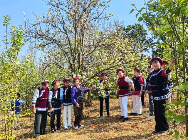 大理双廊的“后花园”藏不住了