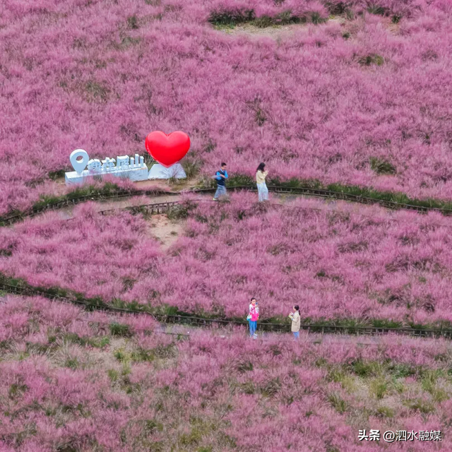 咔嚓🤳！抓住济宁秋天的“小尾巴”~