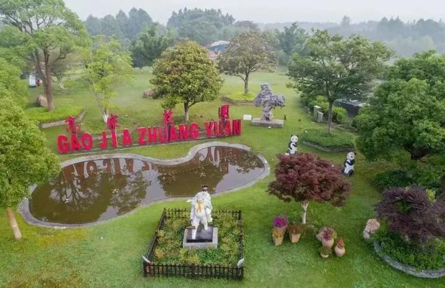 初冬逛沪郊!奉贤、崇明限时优惠来啦