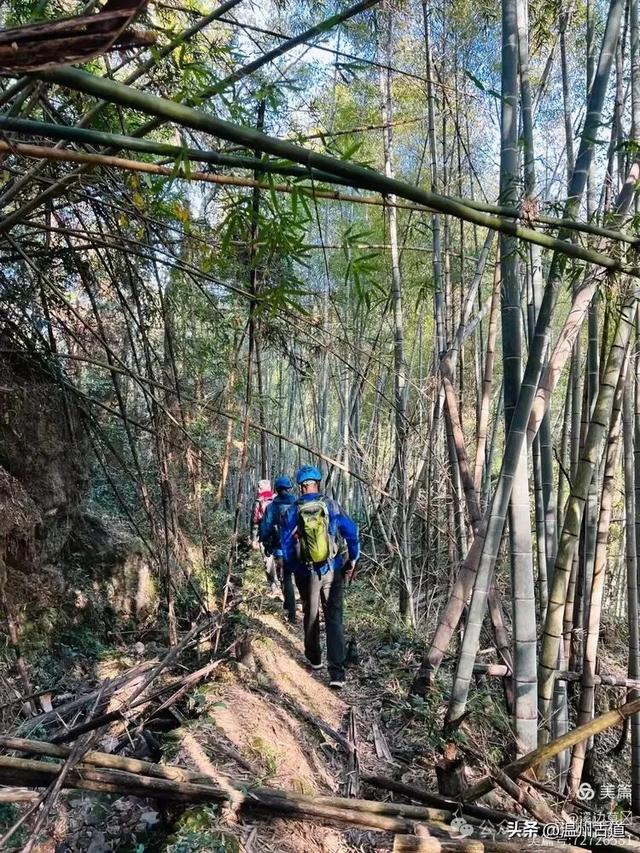 秋高气爽徒步季！温州这处有“小九华山”之称的奇秀山峰等你走起
