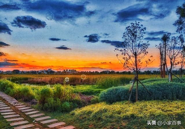 我搭伙过3个男人，发现男人过了60岁还找女人，无非就三个原因