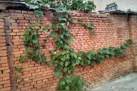 明天七月初一，老人说“明天地门开，不去3地福自临”：指哪里？图片