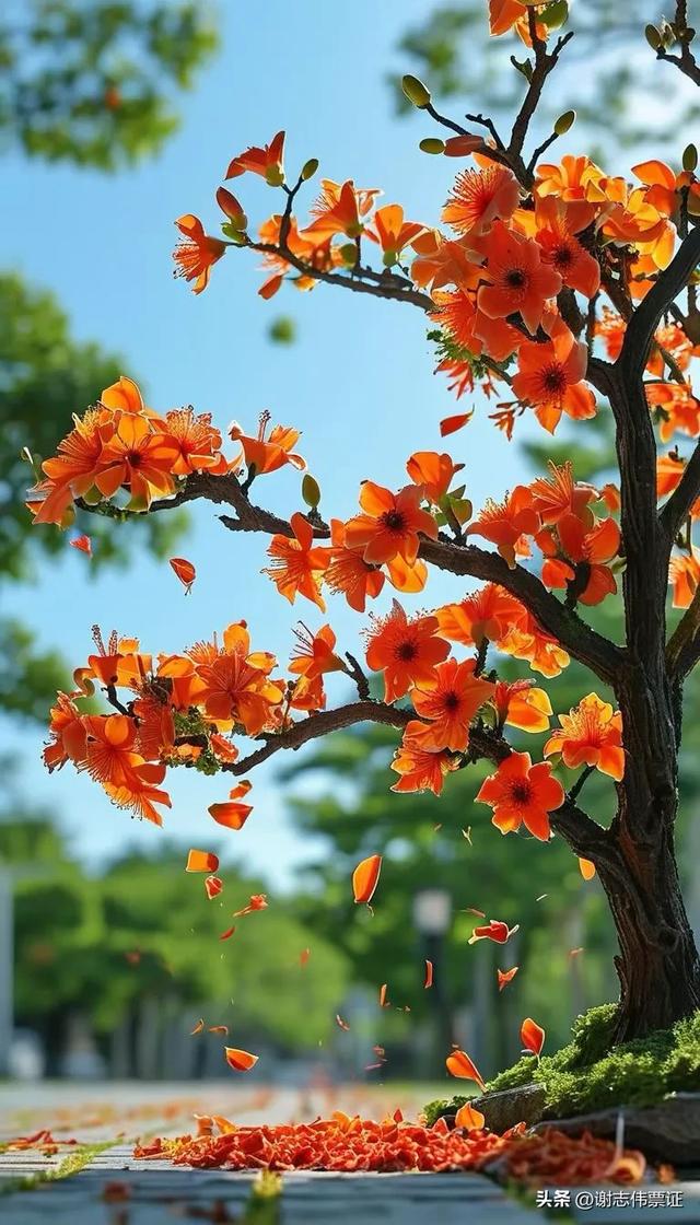 10月第4期(3天)点评