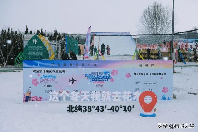 除了海，大连冬日“顶流”竟然是它们？