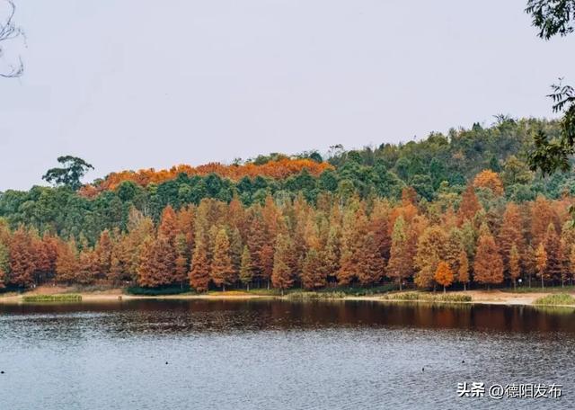最新实拍!德阳东湖山都美成啥样了啊?太夸张了