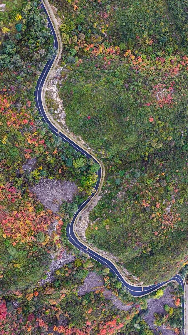 寻色三晋·山河入画｜太行一号旅游公路：在红叶云海间，驶入秋日的山水长卷
