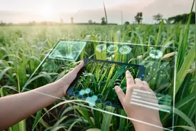 河北支持81个县（市、区）开展现代“种养加”生态农业展示、创新、应用示范区建设图片