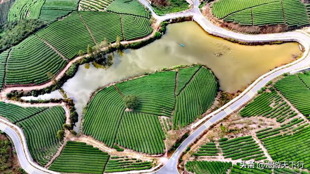 浙江自驾游跨越冀鲁苏浙四省，往返旅程占一半时间，全程收获满满